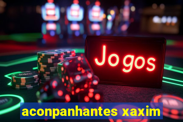 aconpanhantes xaxim